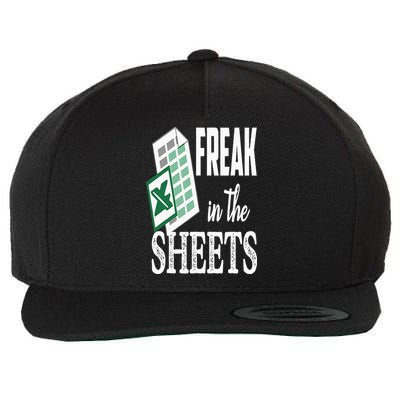 Freak In The Excel Sheets Funny Accountant Spreadsheet Wool Snapback Cap