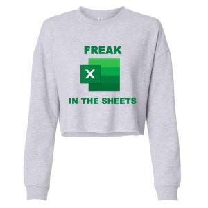 Freak In The Excel Sheets Cropped Pullover Crew