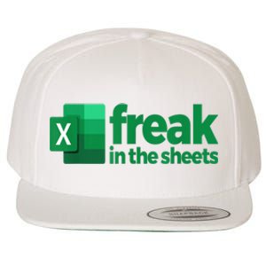 Freak In The Excel Sheets Funny Gift Wool Snapback Cap