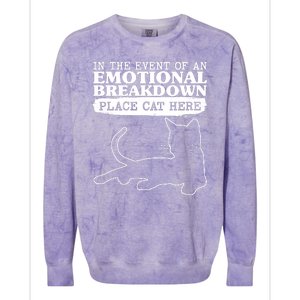 Funny In The Event Of An Emotional Breakdown Place Cat Here Colorblast Crewneck Sweatshirt