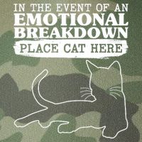 Funny In The Event Of An Emotional Breakdown Place Cat Here Legacy Tie Dye Trucker Hat