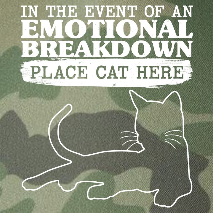 Funny In The Event Of An Emotional Breakdown Place Cat Here Legacy Tie Dye Trucker Hat