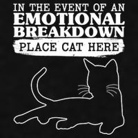 Funny In The Event Of An Emotional Breakdown Place Cat Here Ladies PosiCharge Tri-Blend Wicking Tank