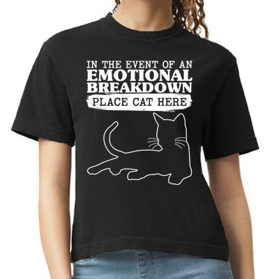 Funny In The Event Of An Emotional Breakdown Place Cat Here Comfort Colors Boxy T-Shirt