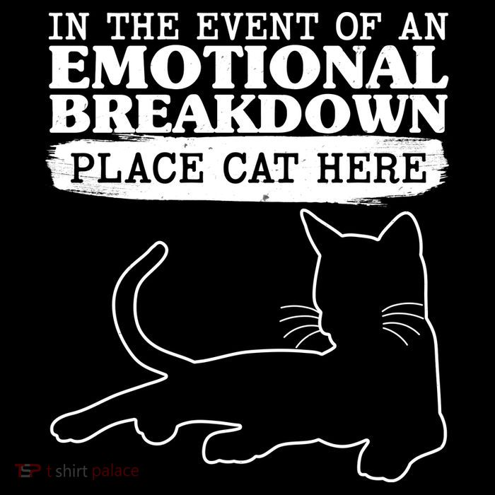 Funny In The Event Of An Emotional Breakdown Place Cat Here Flexfit Unipanel Trucker Cap