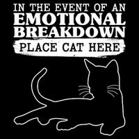 Funny In The Event Of An Emotional Breakdown Place Cat Here Backpack