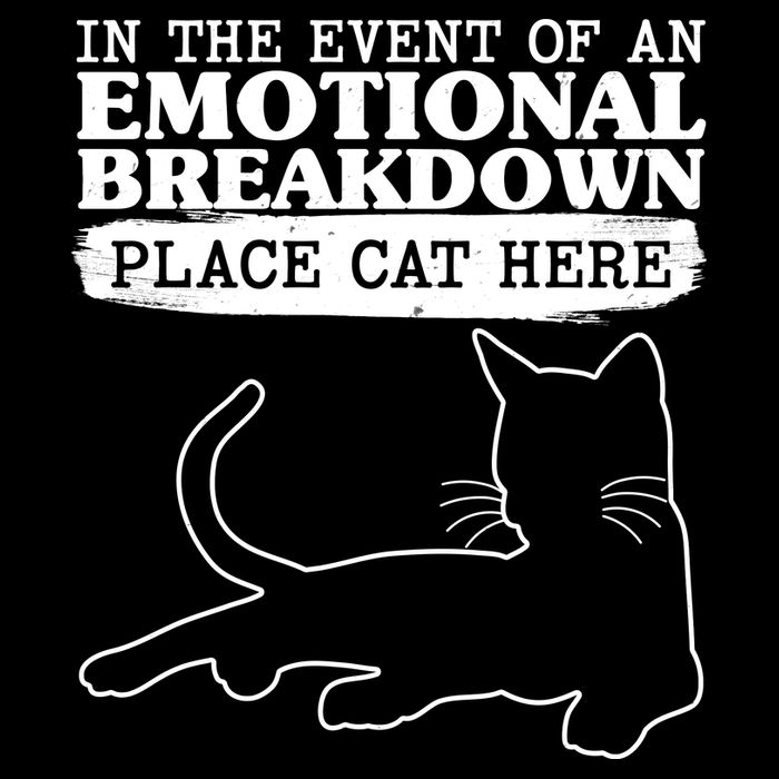 Funny In The Event Of An Emotional Breakdown Place Cat Here Backpack