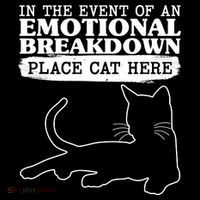 Funny In The Event Of An Emotional Breakdown Place Cat Here Crop Top