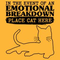 Funny In The Event Of An Emotional Breakdown Place Cat Here Tie-Dye T-Shirt