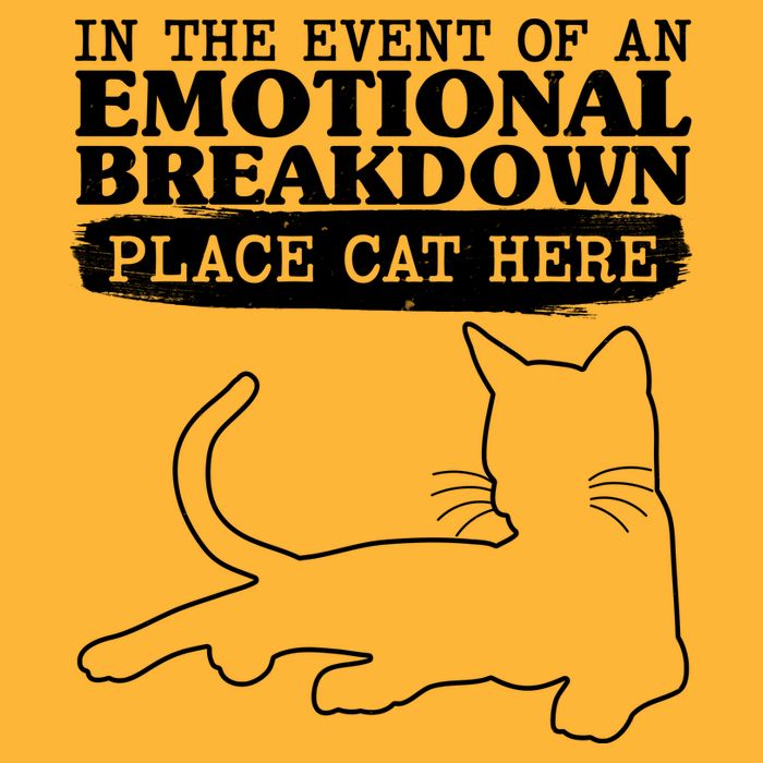Funny In The Event Of An Emotional Breakdown Place Cat Here Tie-Dye T-Shirt