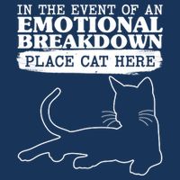 Funny In The Event Of An Emotional Breakdown Place Cat Here Infant Baby Jersey Bodysuit