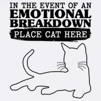 Funny In The Event Of An Emotional Breakdown Place Cat Here Garment-Dyed Sweatshirt
