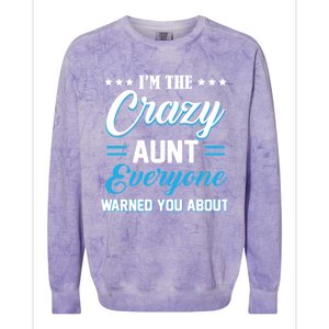 Funny I'm The Crazy Aunt Everyone Warned You About Gift Colorblast Crewneck Sweatshirt