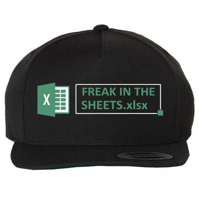 Freak In The Sheets Funny Excel Wool Snapback Cap