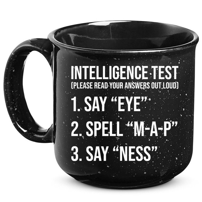 Funny Intelligence Test 15oz Campfire Ceramic Mug