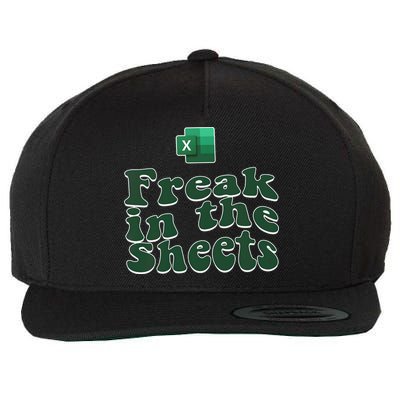 Freak In The Sheets Funny Accountant Excel Wool Snapback Cap