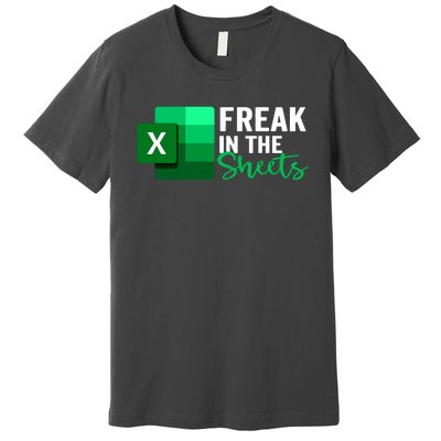 Freak In The Sheets Accountant Funny Spreadsheet Excel Premium T-Shirt