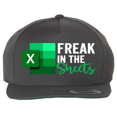 Freak In The Sheets Accountant Funny Spreadsheet Excel Wool Snapback Cap