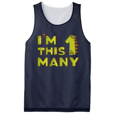 Funny Im This Many 1st Birthday Dinosaur Gift Mesh Reversible Basketball Jersey Tank