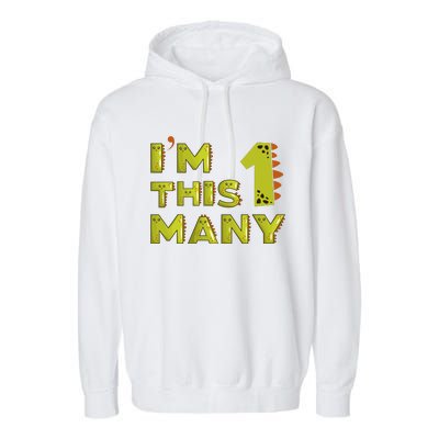 Funny Im This Many 1st Birthday Dinosaur Gift Garment-Dyed Fleece Hoodie