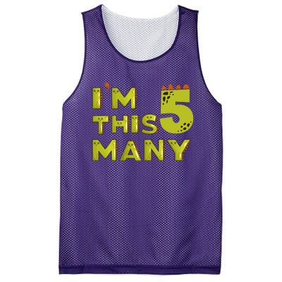 Funny Im This Many 5th Birthday Dinosaur Gift Mesh Reversible Basketball Jersey Tank