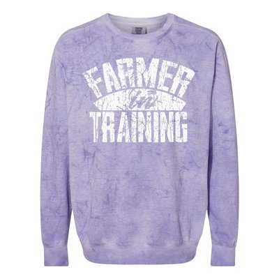 Farmer In Training Farmer Gift Colorblast Crewneck Sweatshirt