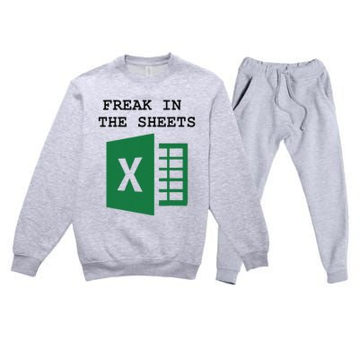 Freak In The Excel Sheets Premium Crewneck Sweatsuit Set