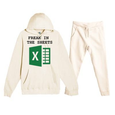 Freak In The Excel Sheets Premium Hooded Sweatsuit Set