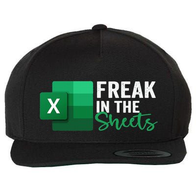Freak In The Sheets Accountant Funny Spreadsheet Excel Wool Snapback Cap