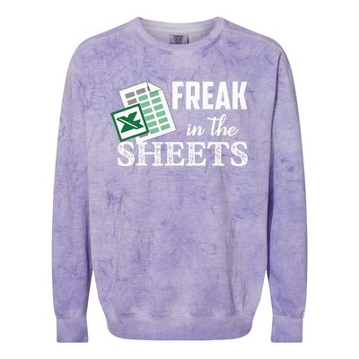 Freak In The Excel Sheets Funny Accountant Colorblast Crewneck Sweatshirt