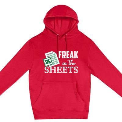 Freak In The Excel Sheets Funny Accountant Premium Pullover Hoodie