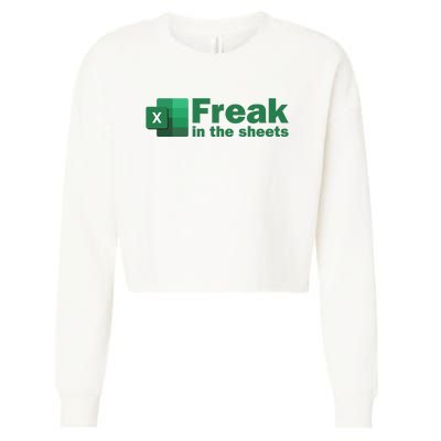 Freak In The Excel Sheets Cropped Pullover Crew