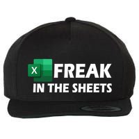 Freak In The Sheets Excel Freak In The Spreadsheets Wool Snapback Cap