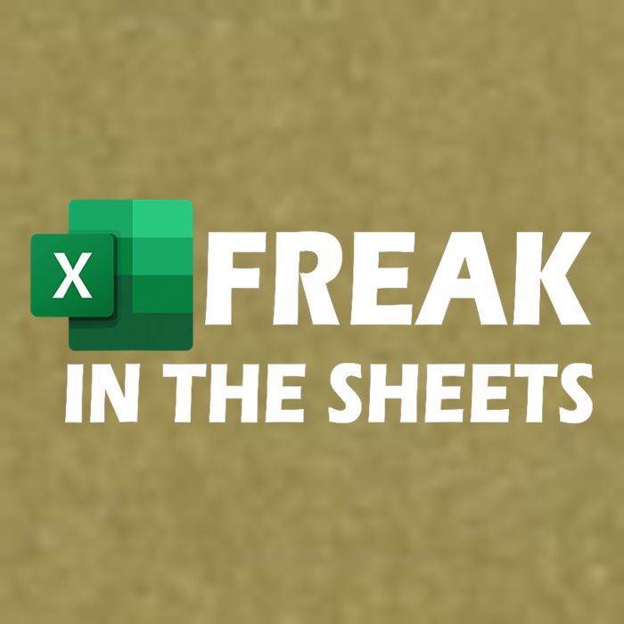 Freak In The Sheets Excel Freak In The Spreadsheets Garment-Dyed Women's Muscle Tee