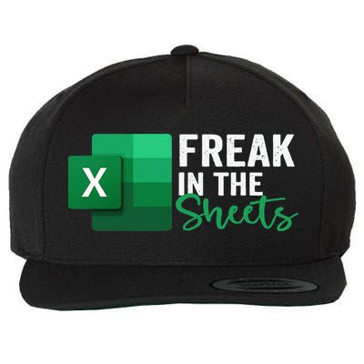 Freak In The Sheets Accountant Funny Spreadsheet Excel Wool Snapback Cap