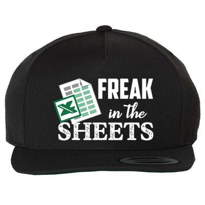 Freak In The Excel Sheets Funny Accountant Spreadsheet Wool Snapback Cap