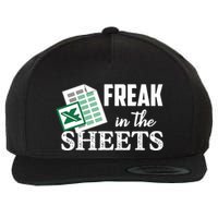 Freak In The Excel Sheets Funny Accountant Spreadsheet Wool Snapback Cap