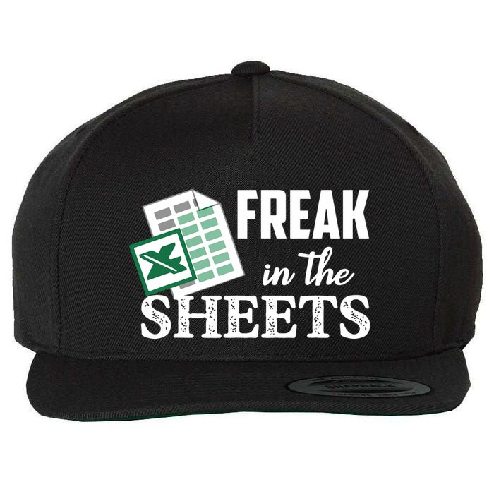 Freak In The Excel Sheets Funny Accountant Spreadsheet Wool Snapback Cap