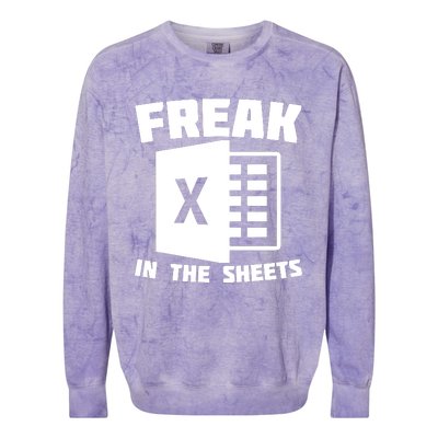 Freak In The Sheets Funny Accountant Analyst Secretary Colorblast Crewneck Sweatshirt