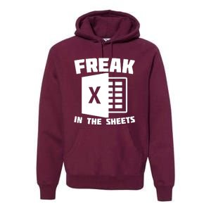 Freak In The Sheets Funny Accountant Analyst Secretary Premium Hoodie