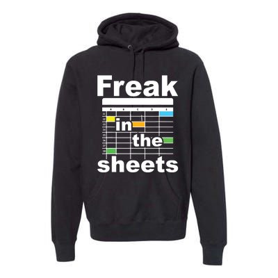 Freak In The Sheets Funny Accountant Analyst Secretary Premium Hoodie