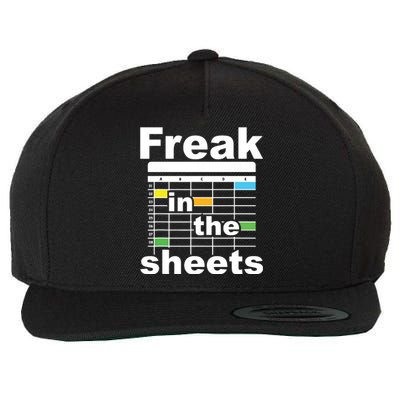 Freak In The Sheets Funny Accountant Analyst Secretary Wool Snapback Cap