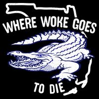 Florida Is Where Woke Goes To Die DeSantis Florida Funny 16 in Basic Backpack