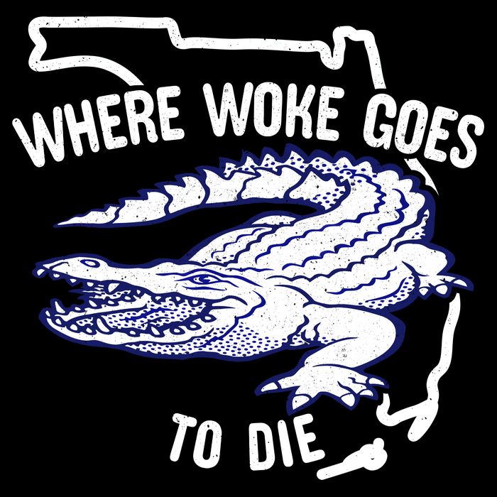Florida Is Where Woke Goes To Die DeSantis Florida Funny Toddler T-Shirt
