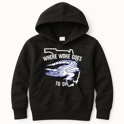Florida Is Where Woke Goes To Die DeSantis Florida Funny Kids Hoodie