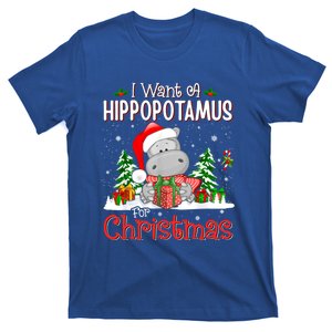 Funny I Want A Hippopotamus For Christmas Xmas Hippo Cool Gift T-Shirt