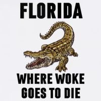 Florida Is Where Woke Goes To Die Funny Shirt Womens T-Shirt