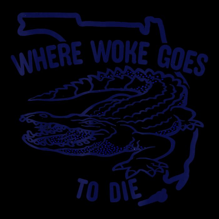 Florida Is Where Woke Goes To Die DeSantis Florida Funny Flat Bill Trucker Hat
