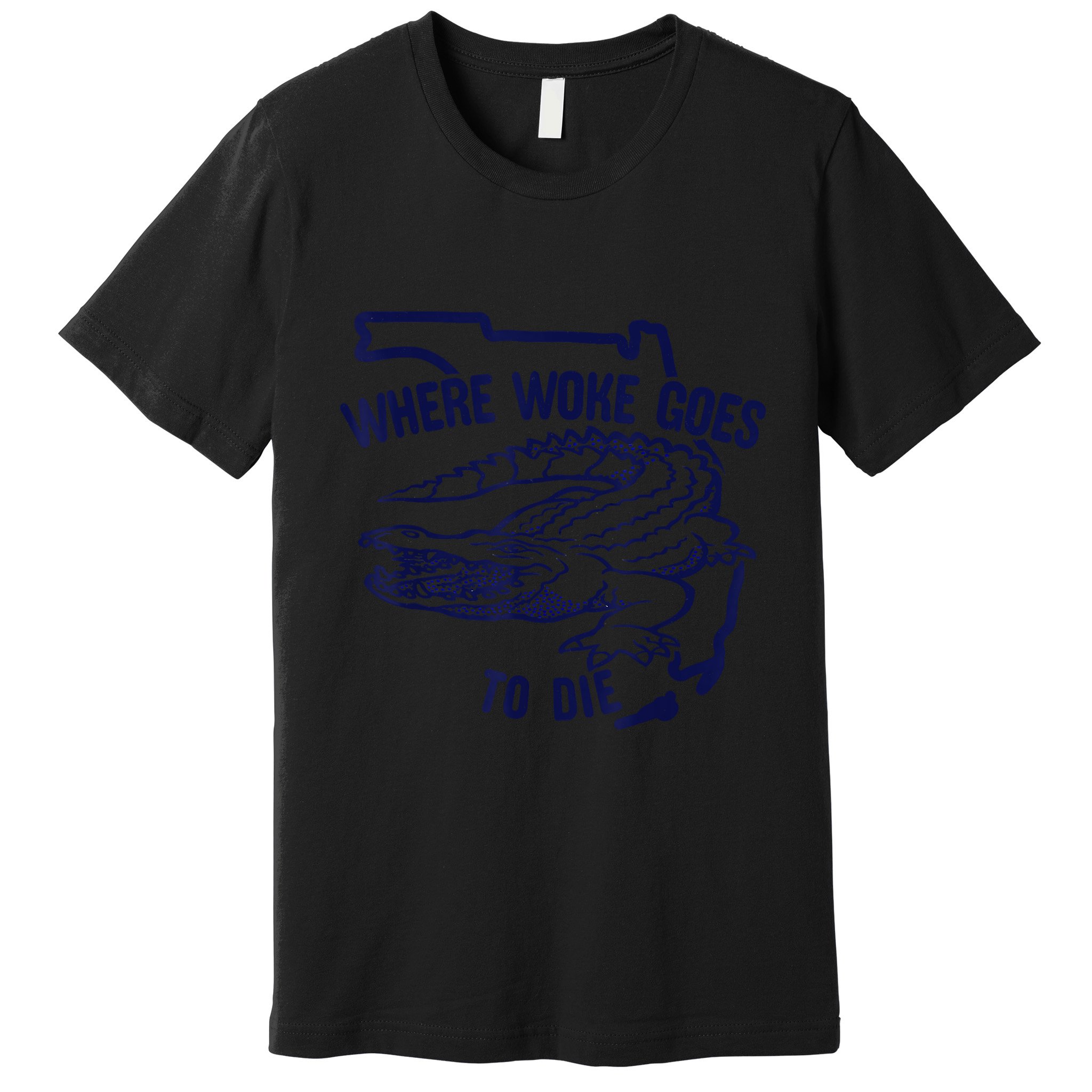 Florida Is Where Woke Goes To Die DeSantis Florida Funny Premium T-Shirt