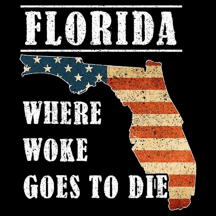 Florida Is Where Woke Goes To Die DeSantis Florida USA Flag Impact Tech Backpack